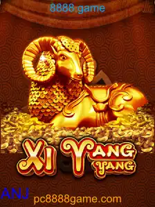 XiYangYang
